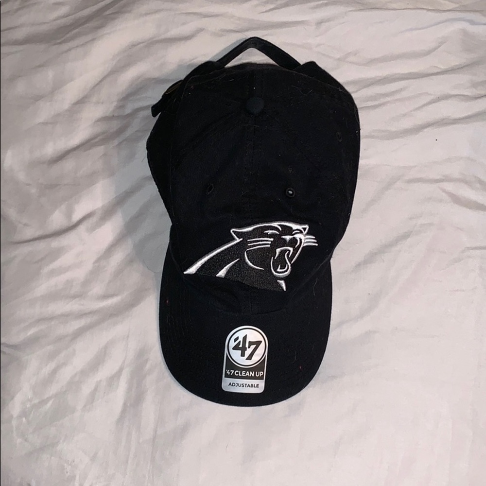 Panthers hat